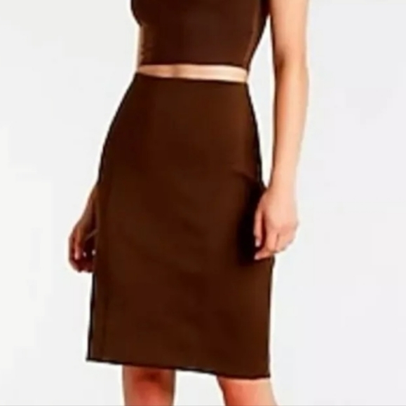 Express Dresses & Skirts - Express Brown High Waisted Pencil Skirt